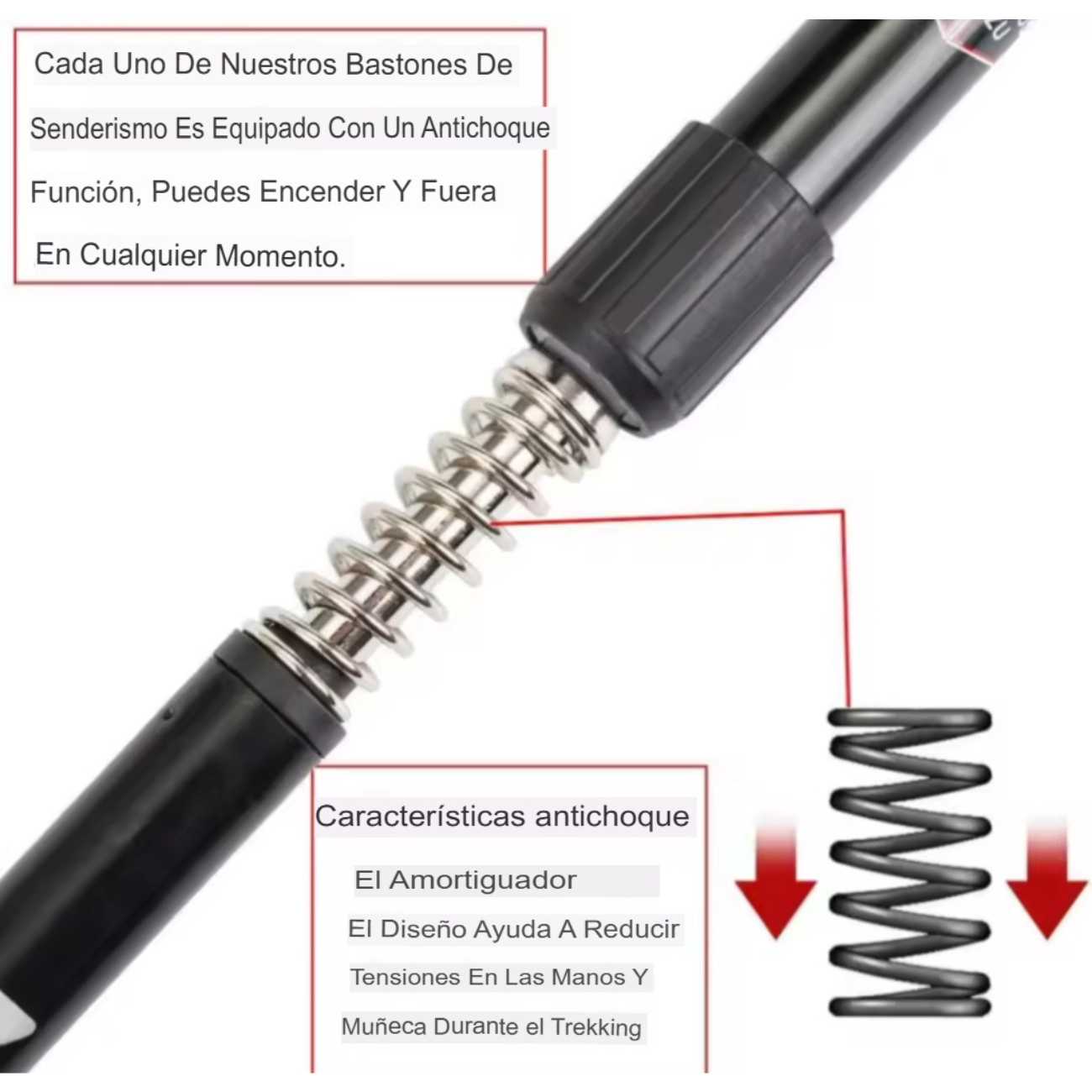 Bastón Senderismo 2 Tramos Adaptativo Anti-shock Aluminio-2