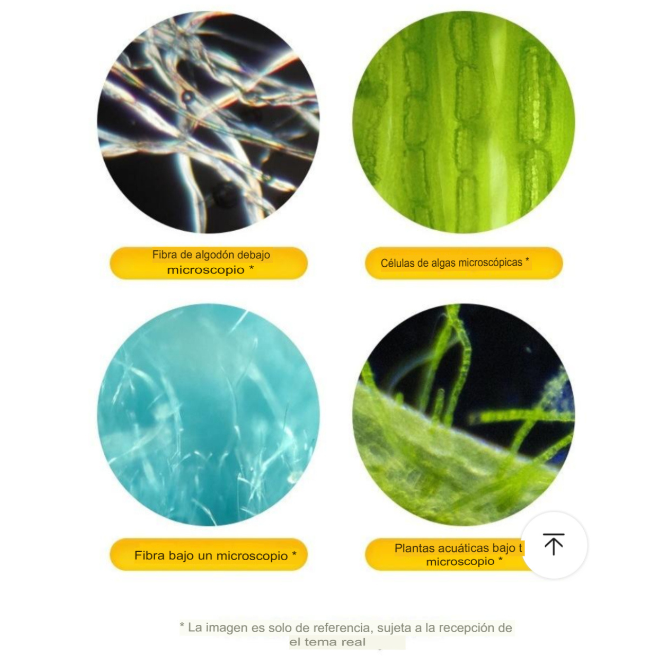 Microscopio Portátil para Celular 60x–160x con Luz LED-3