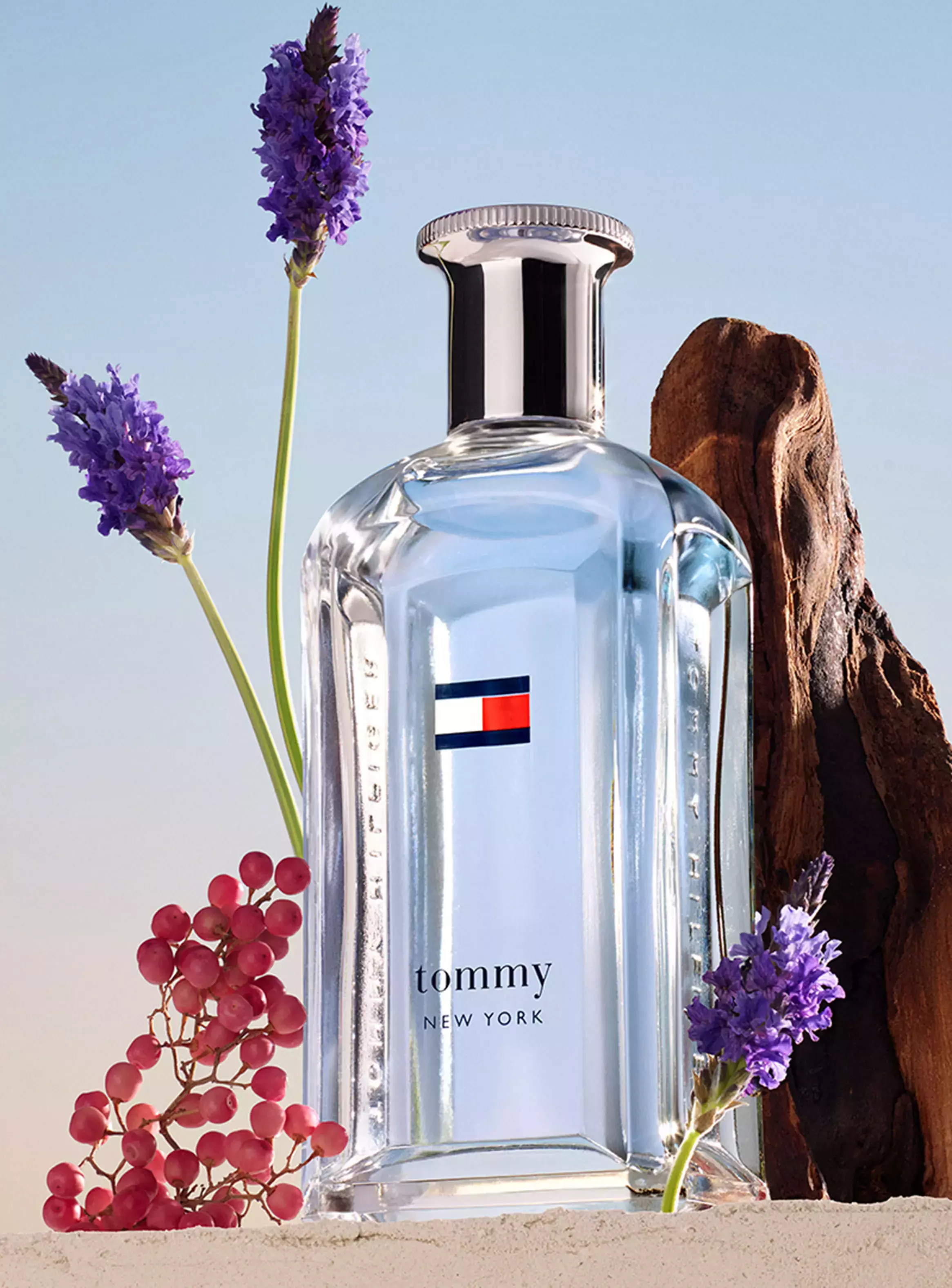 Tommy Hilfiger New York Edt 100 Ml Hombre-2