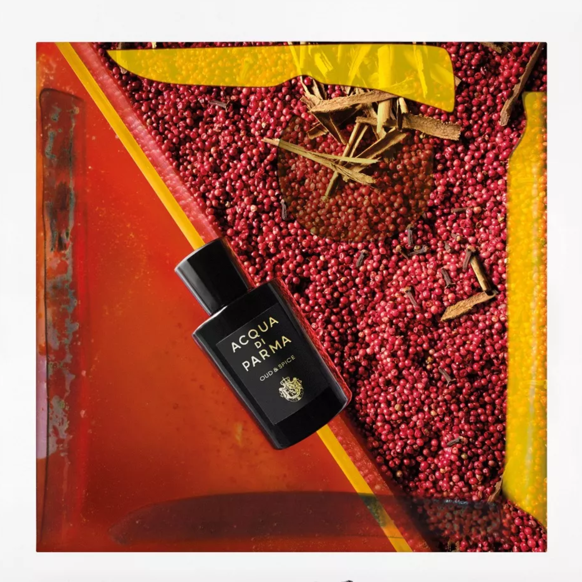 Perfume Unisex Signature Oud & Spice Edp 100 Ml Acqua Di Parma-3