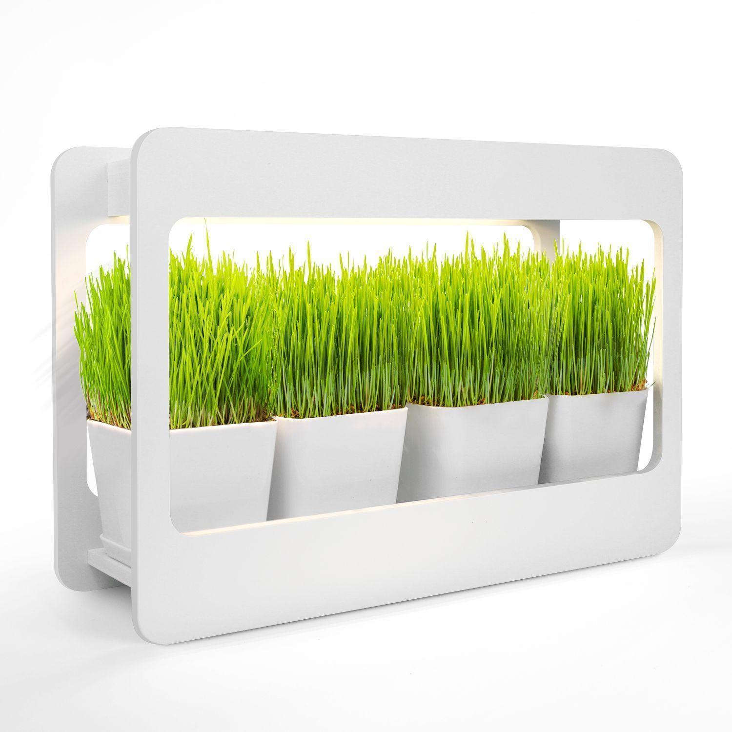 Huerto interior con luz LED Minigarden-8