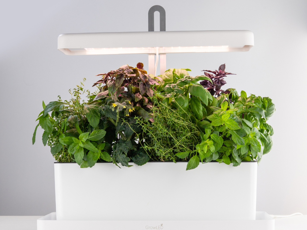 Huerto con luz LED de cultivo indoor Natura-7