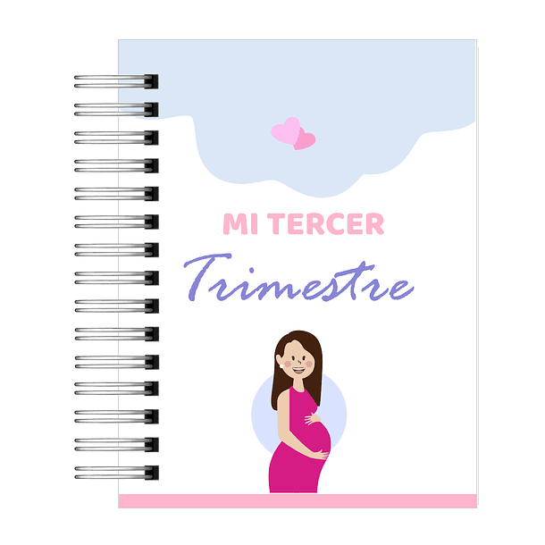 Diario de Embarazo-10