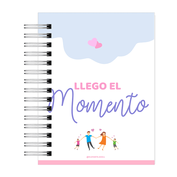 Diario de Embarazo-11