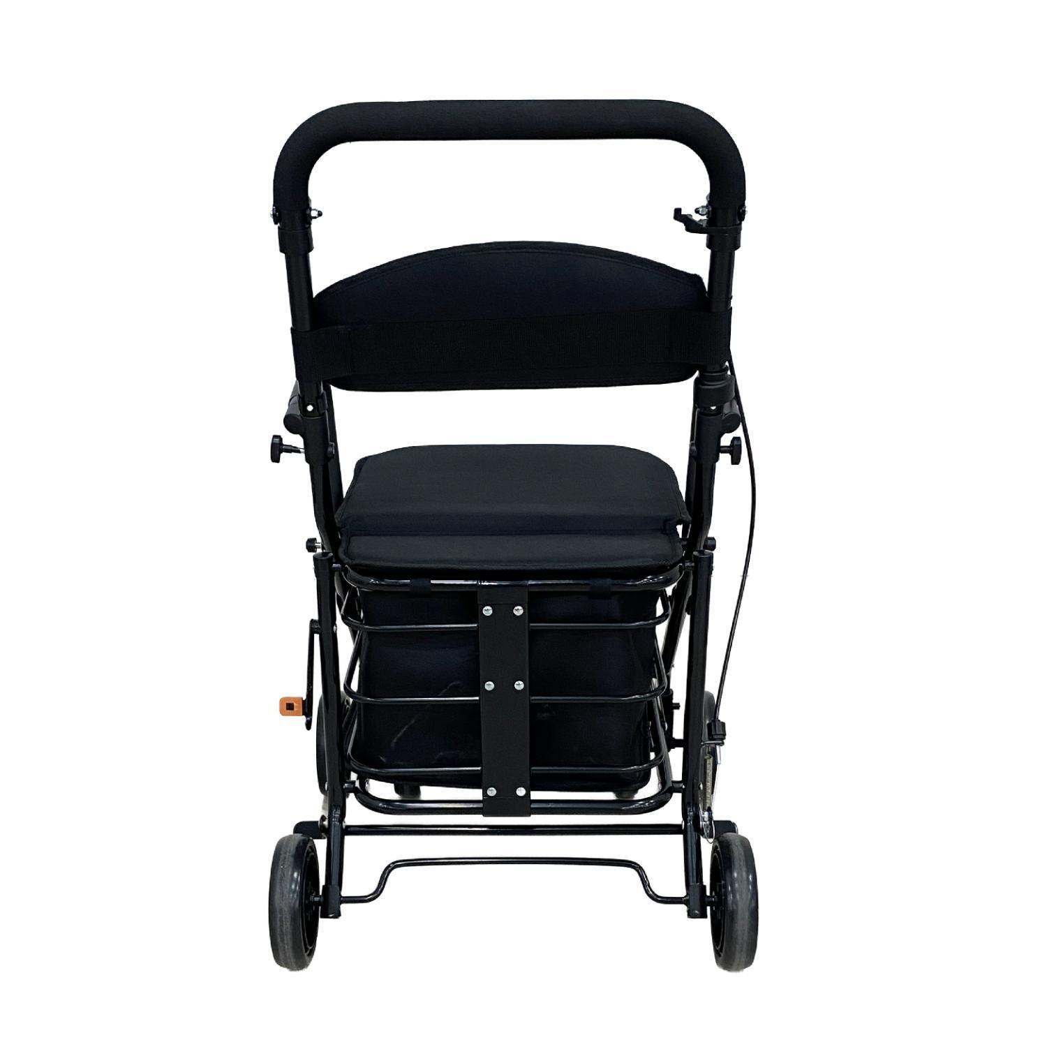 Carrito Burrito Andador con Asiento y Canasto-4