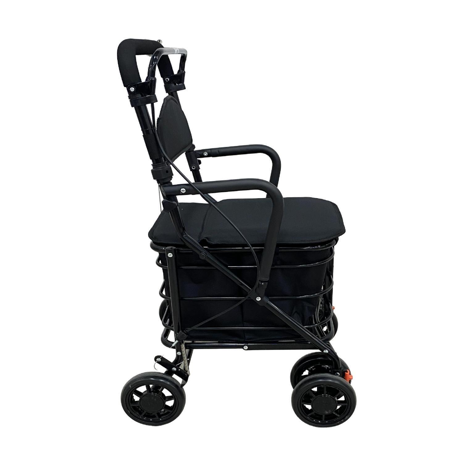 Carrito Burrito Andador con Asiento y Canasto-5