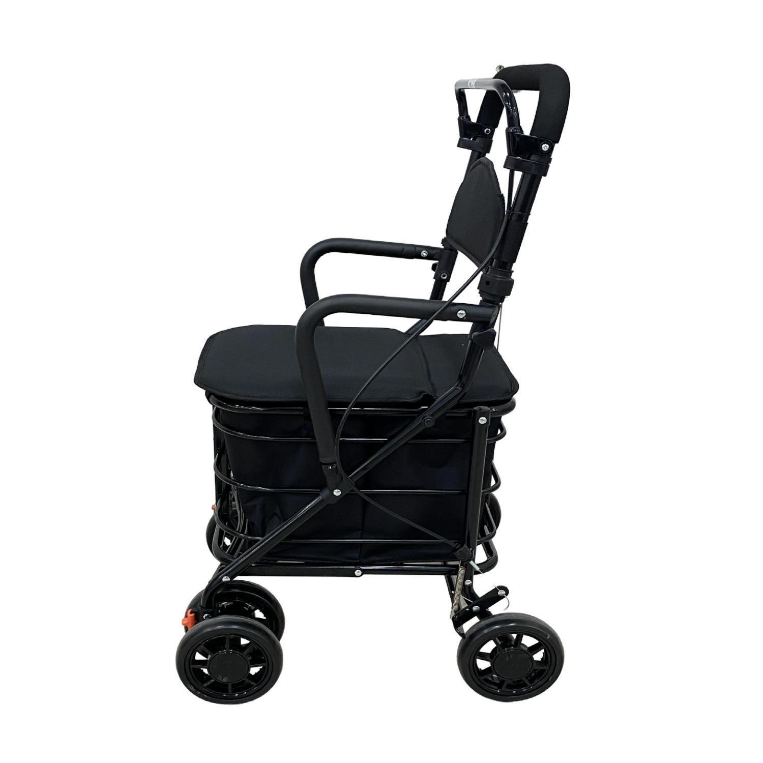 Carrito Burrito Andador con Asiento y Canasto-6