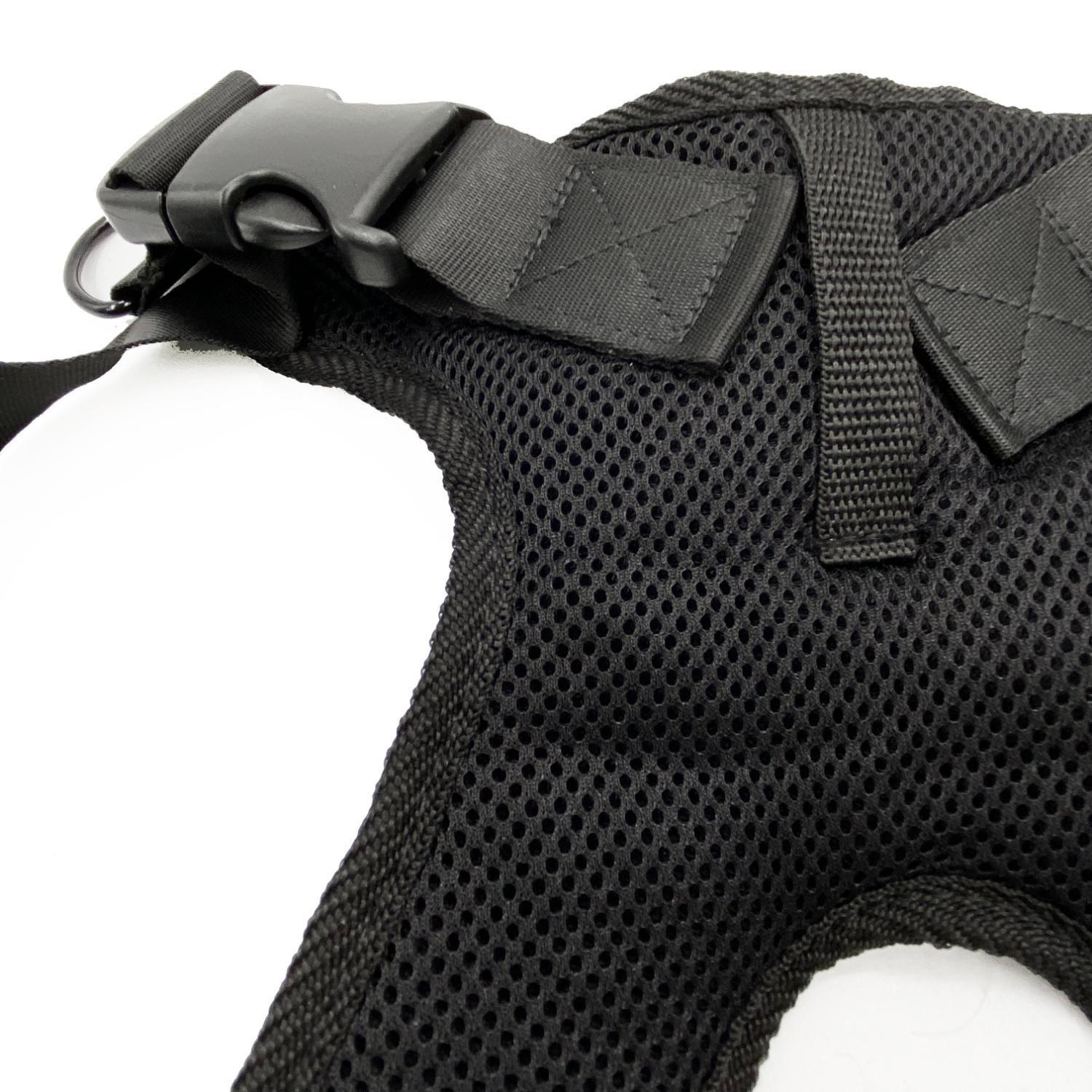 Cinturón De Seguridad Silla De Rueda Básica-2