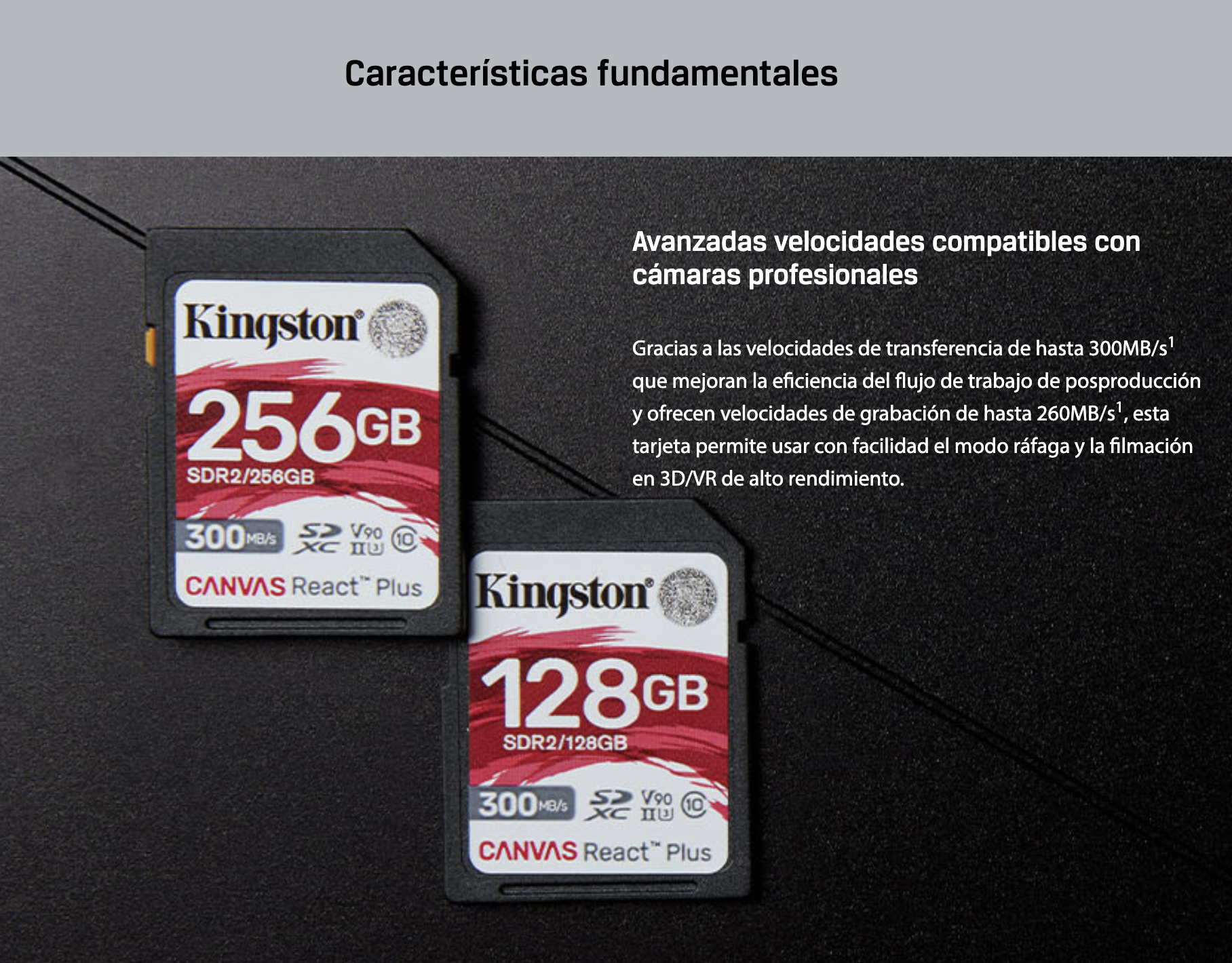 Memoria SD 64GB Canvas React Plus SDXC UHS-II 300R260W U3 V90 4K8K-6