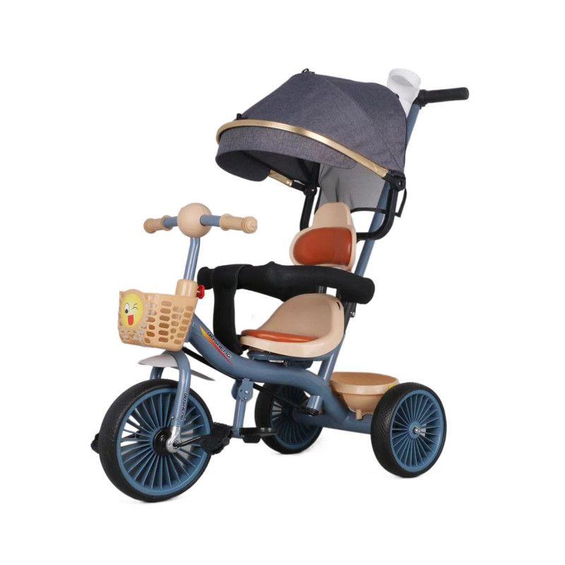 Triciclo Infantil 2 Etapas Metálico con Techo y Barra Guía Azul-0