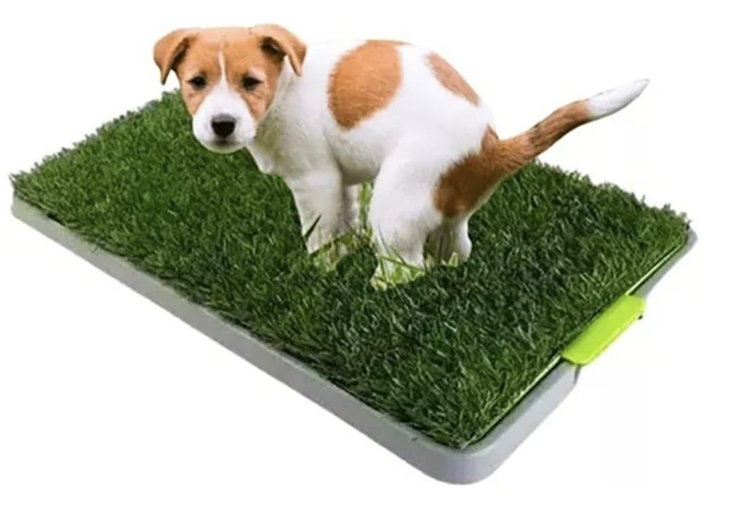 Baño Ecologico Artificial Sanitario Reutilizable para Mascotas Perros Gatos-2