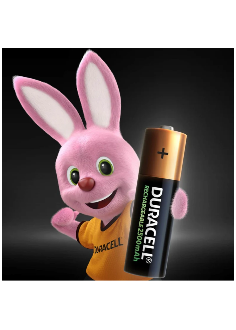 Pilas Duracell Recargables 4AA 4AAA 8 Pilas-2