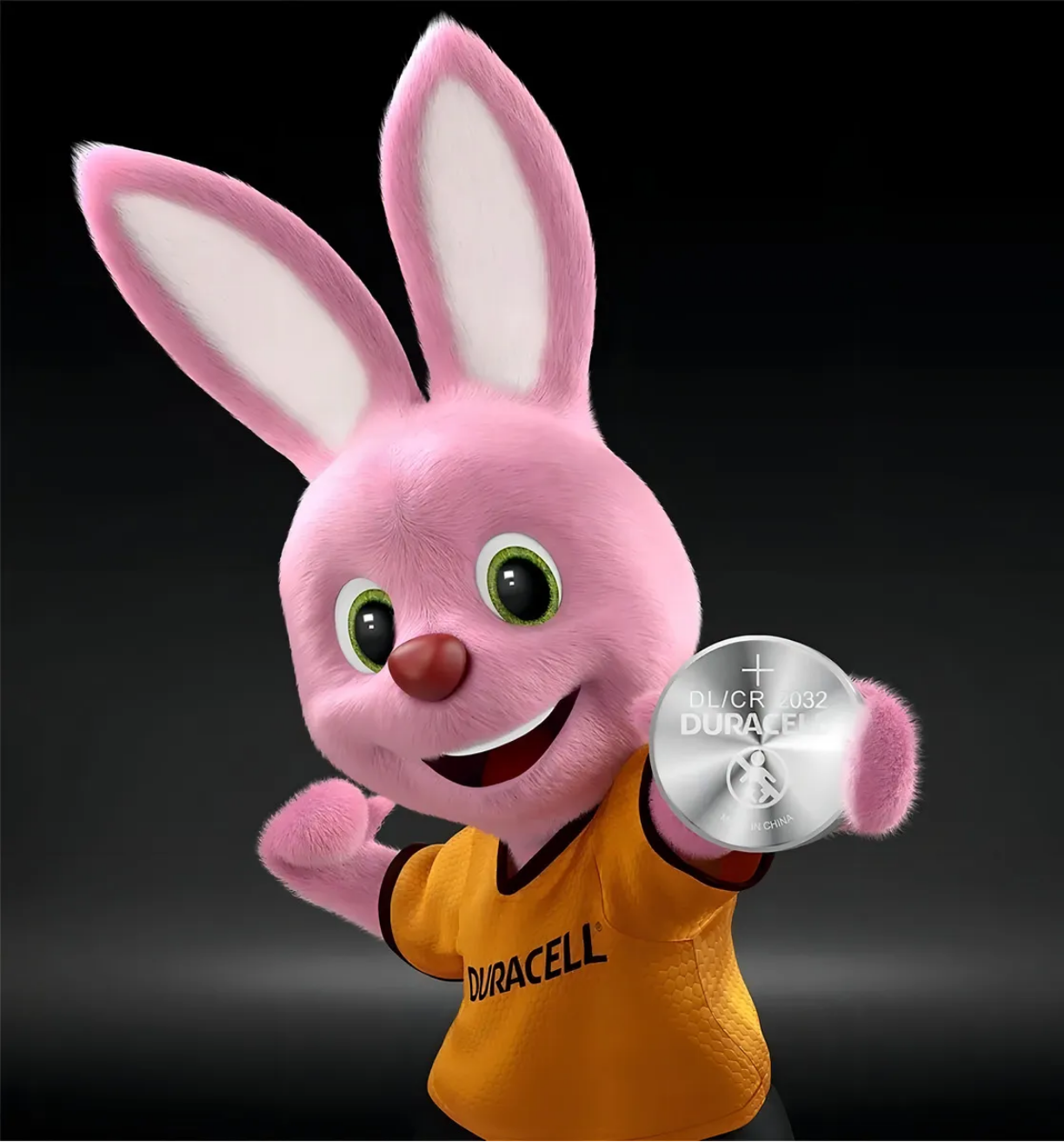 Pilas Duracell CR2032 5 Pilas-4