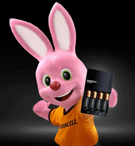 Cargador Duracell para Pilas AA/AAA + 8 Pilas Recargables AA/AAA-6