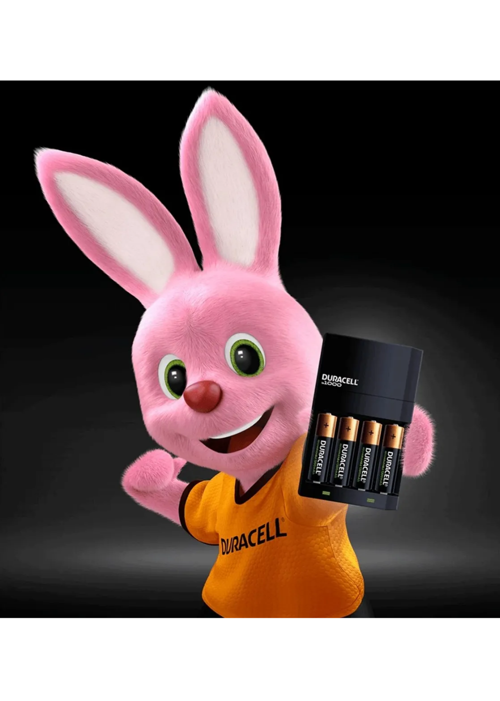 Cargador Duracell AA/AAA + 8 Pilas Recargables AA/AAA-4