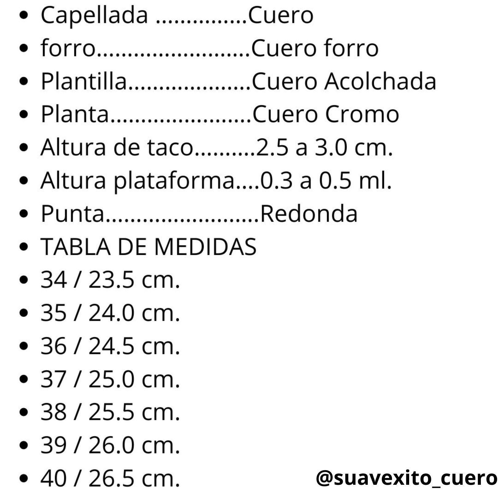 Pantuflas /Zapatilla de Levantar Cuero Mujer 24 plateado-4