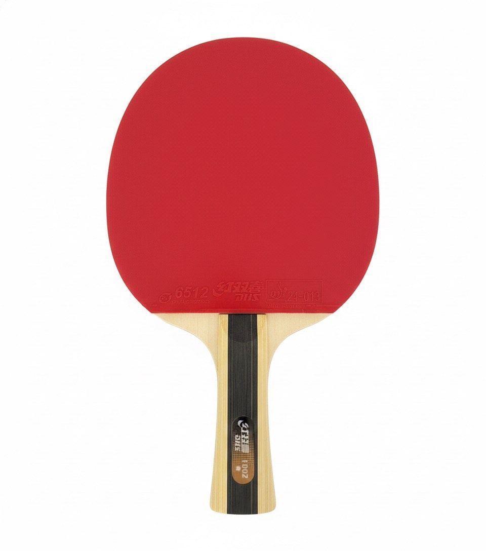 Paleta ping pong dhs 1002-0
