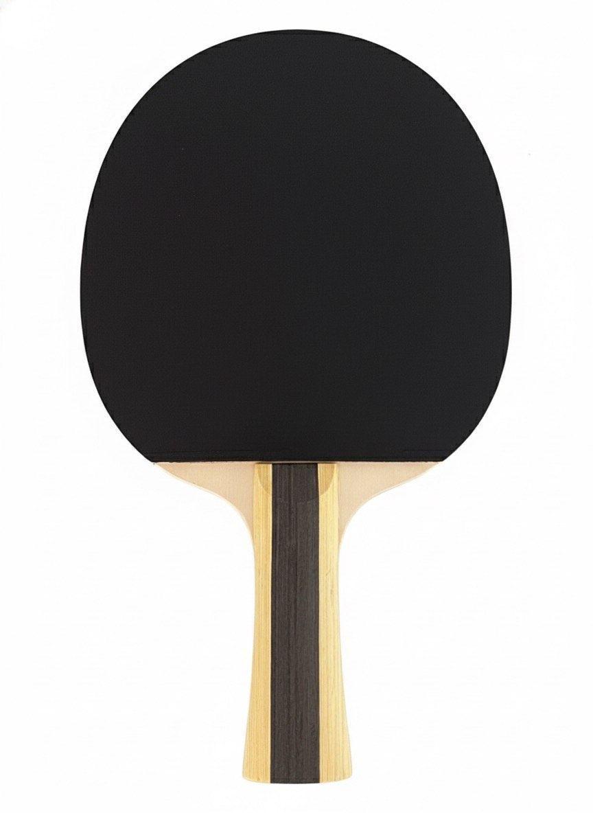 Paleta ping pong dhs 1002-1