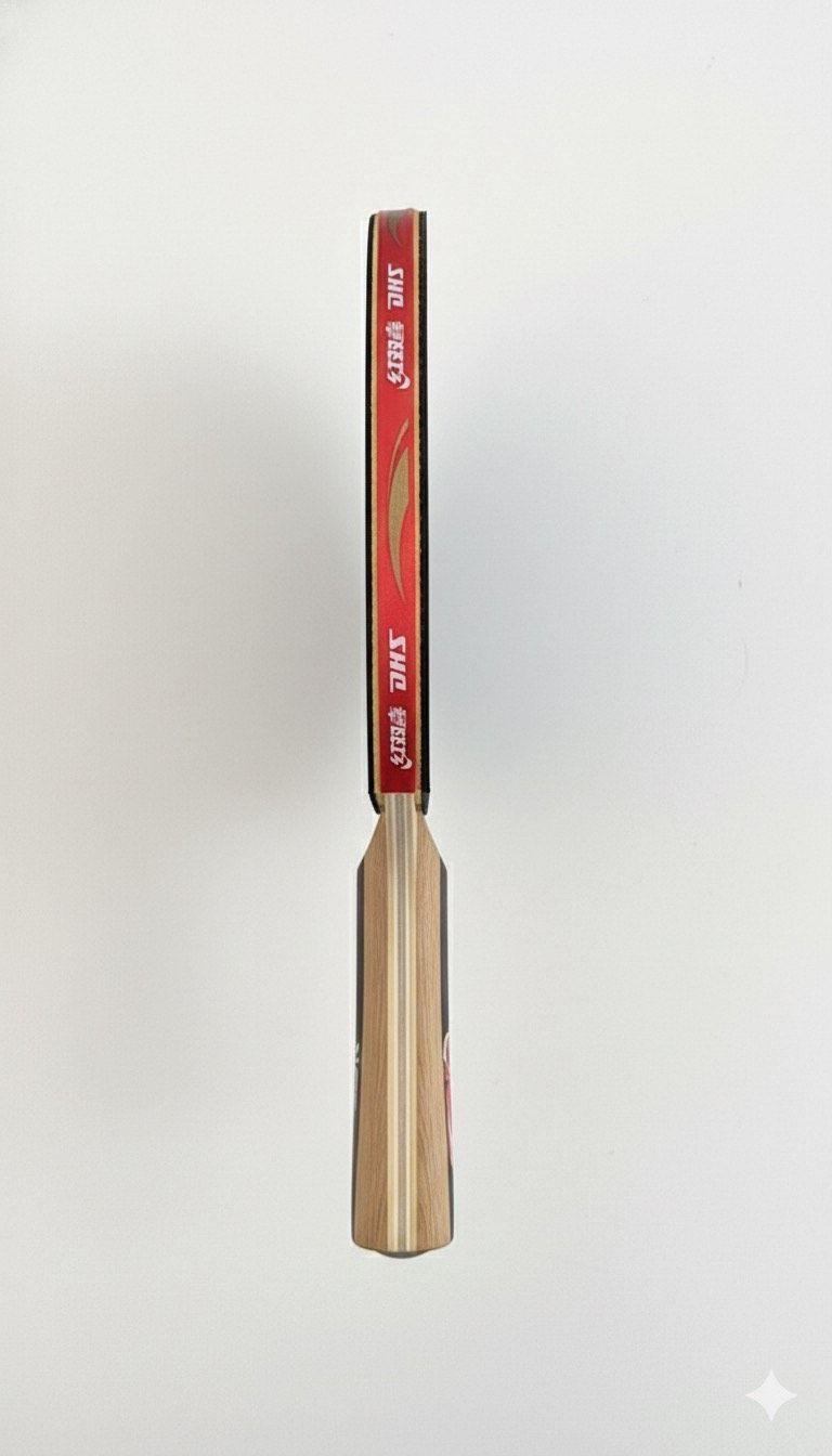 Paleta ping pong dhs 1002-4