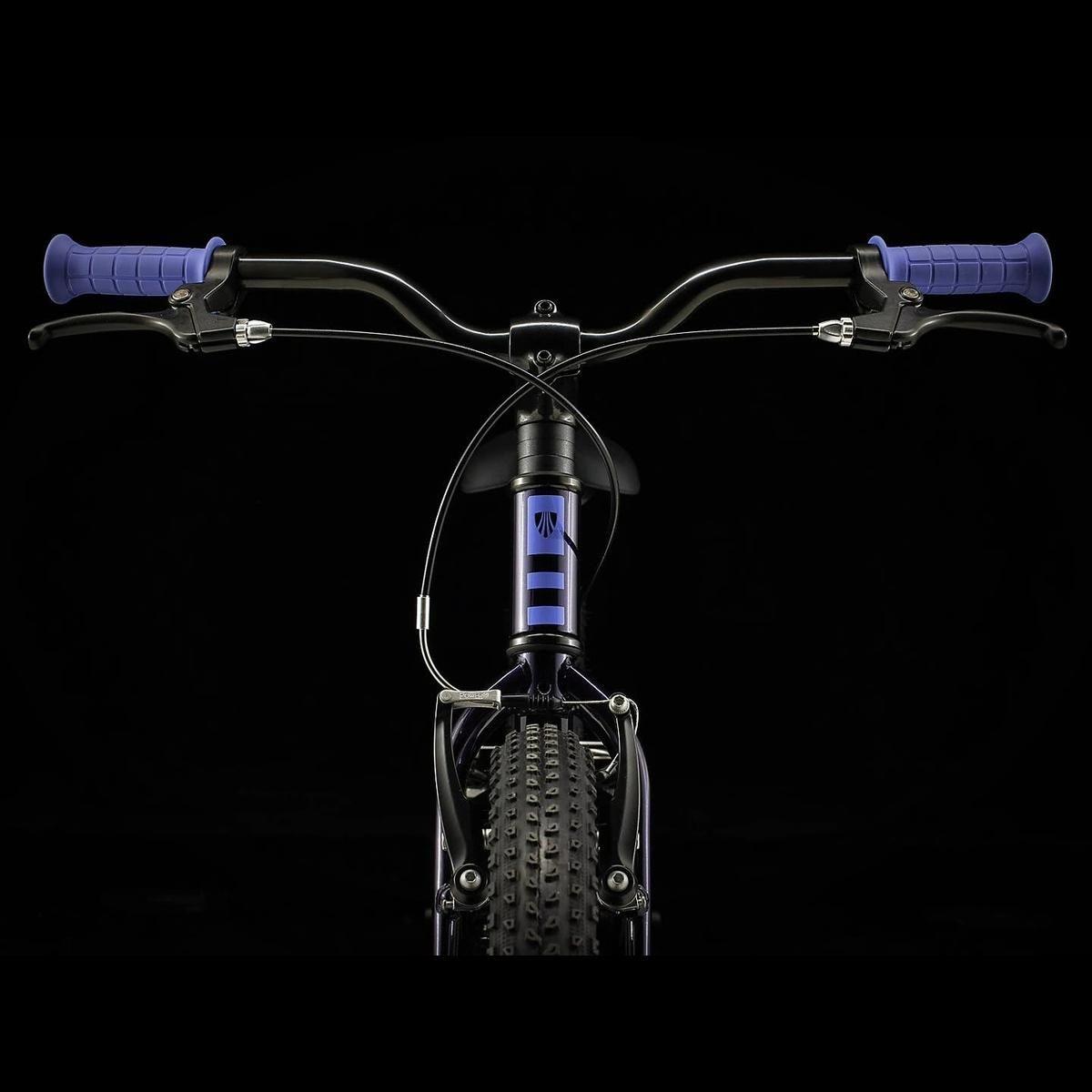 Bicicleta Niño Trek Precaliber 20 Morada 2023-3