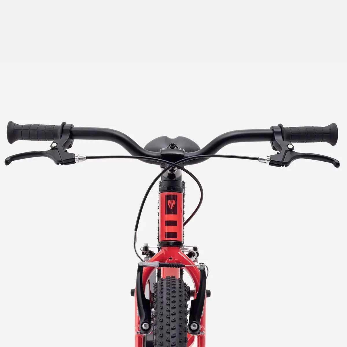 Bicicleta Niños Trek Precaliber 20 FW Rojo-3