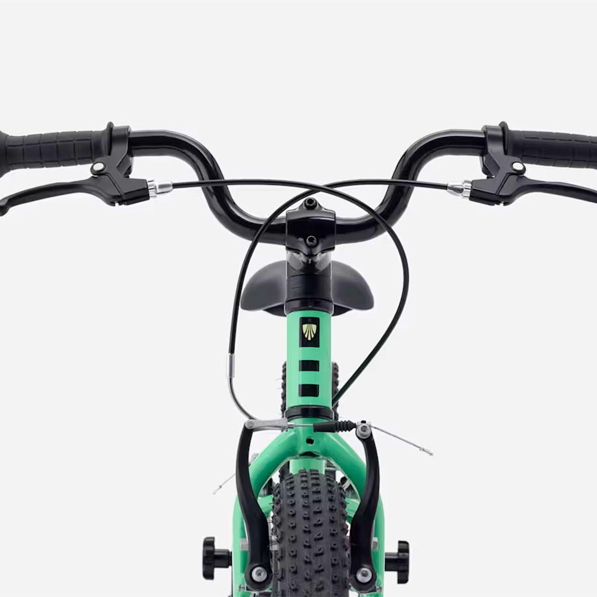 Bicicleta Niños Trek Precaliber 16 FW Verde-4