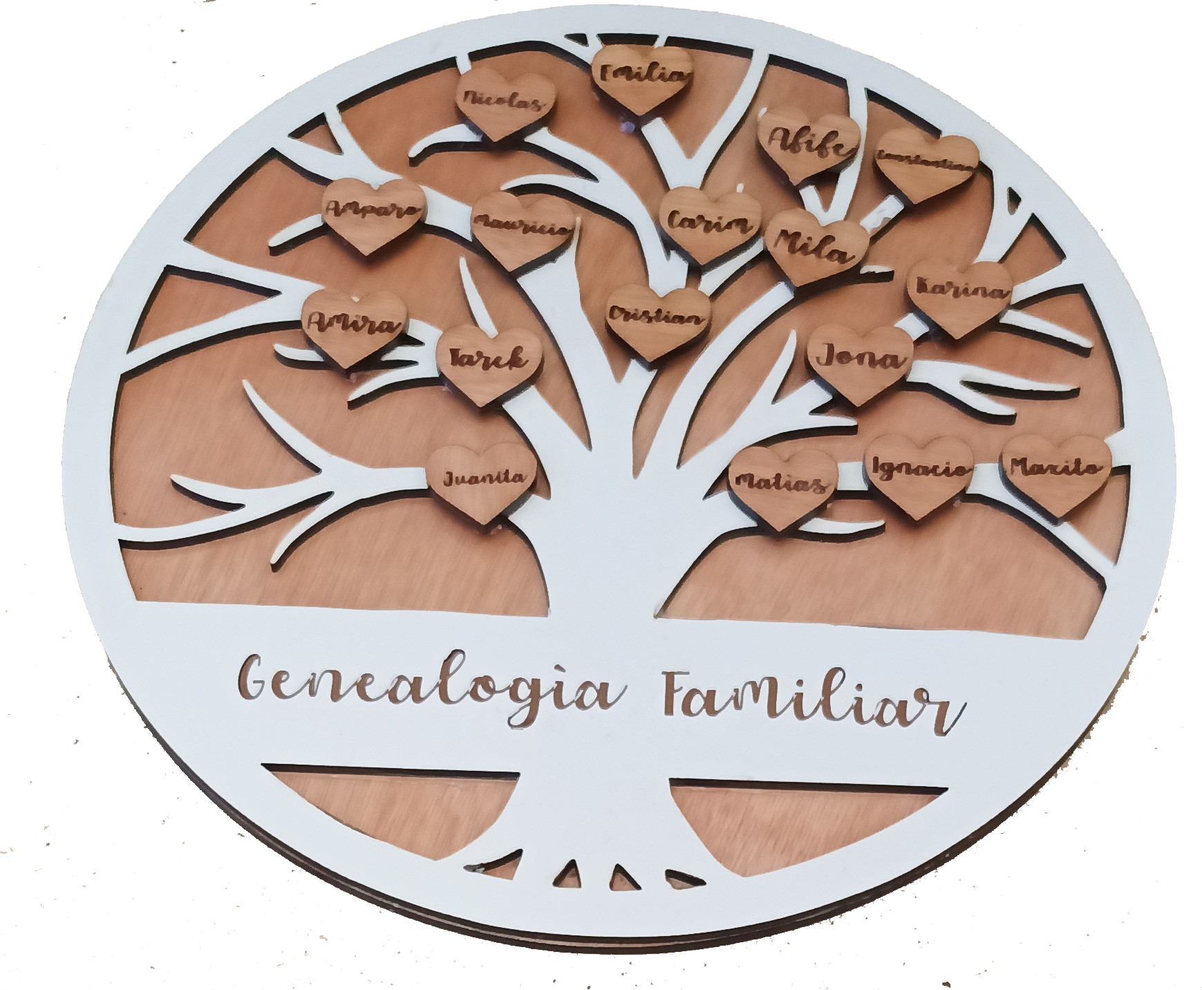 Cuadro Arbol Familiar Genealogico -0