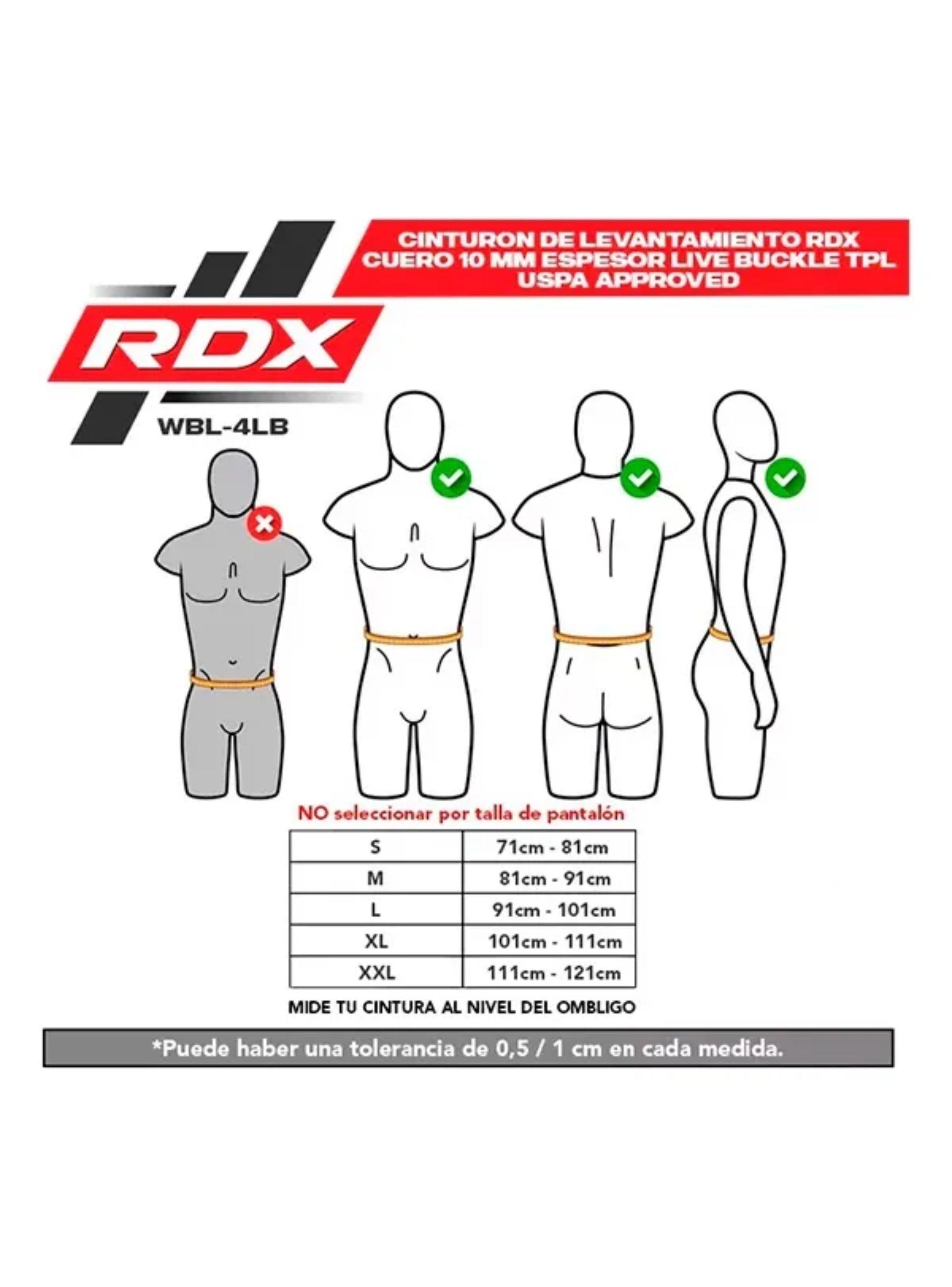 Cinturón De Levantamiento Rdx - Café - Wbl-4lb 2-6