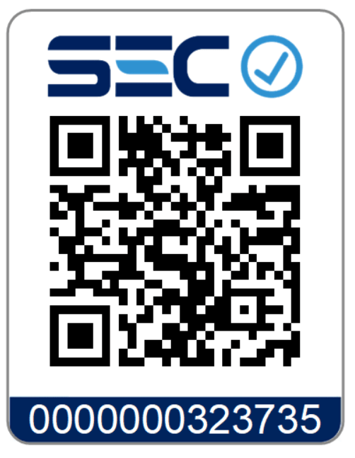 Pack 10 Interruptores Doble Champagne 16A con SEC-2