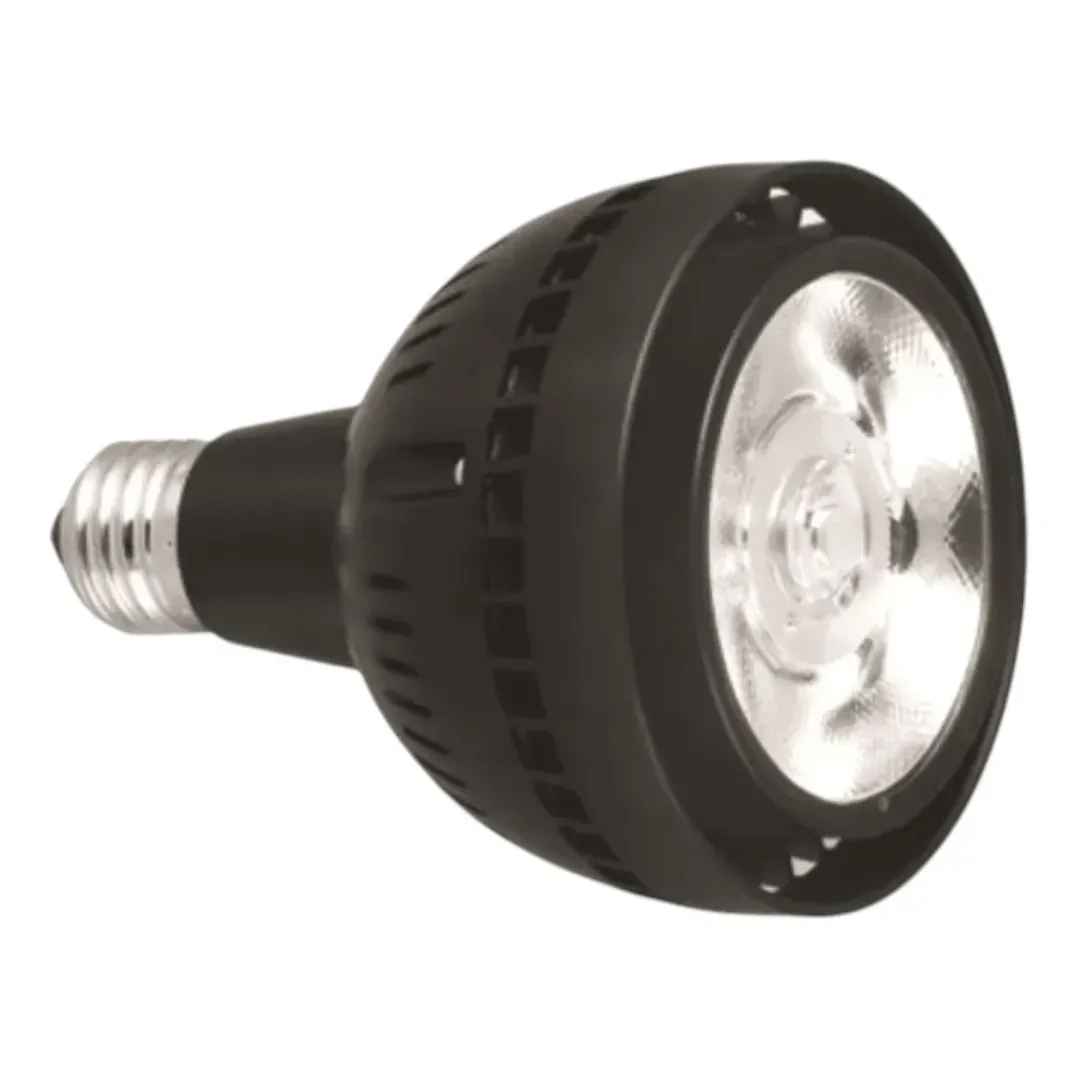 Pack 4 Ampolletas E27 Par30 40w 6500k Luz Fría-2