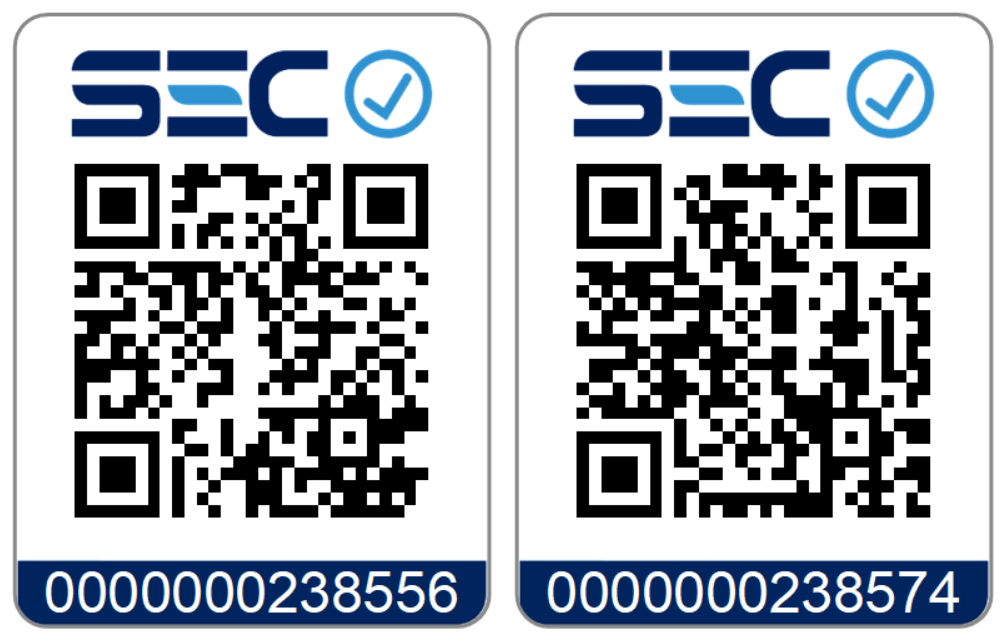 Pack 10 Interruptores Simple Y Enchufe Hembra con SEC-2