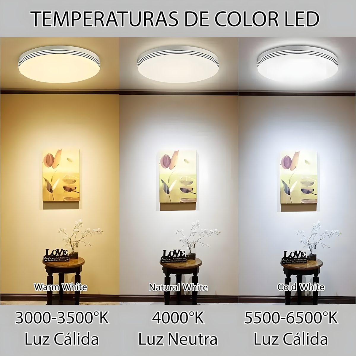 Foco Piso Led 220v Redondo Con Lupa 7w Luz Neutra-3