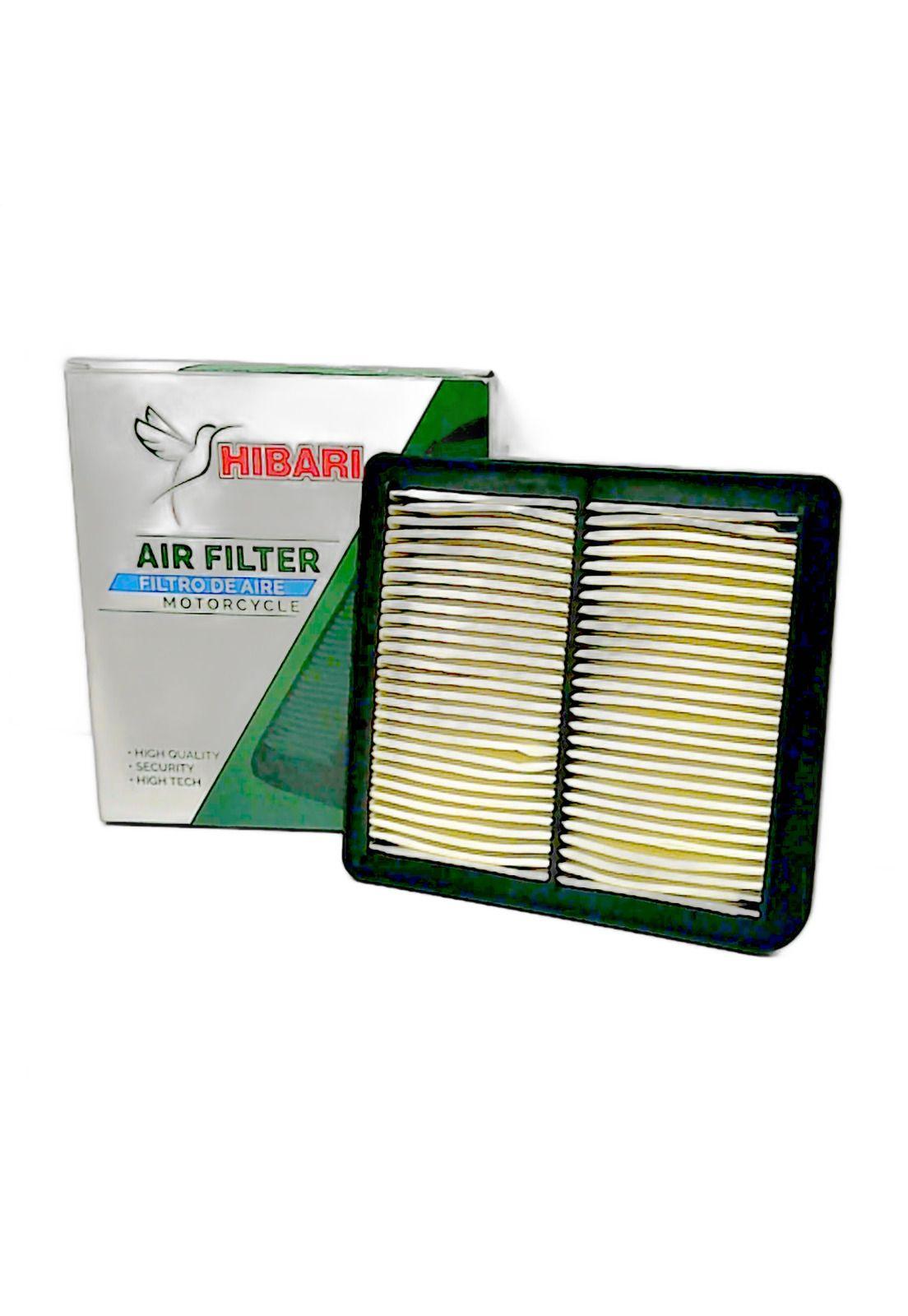 Filtro Aire Gixxer250 / Vstrom250 Jap HIBARI-6