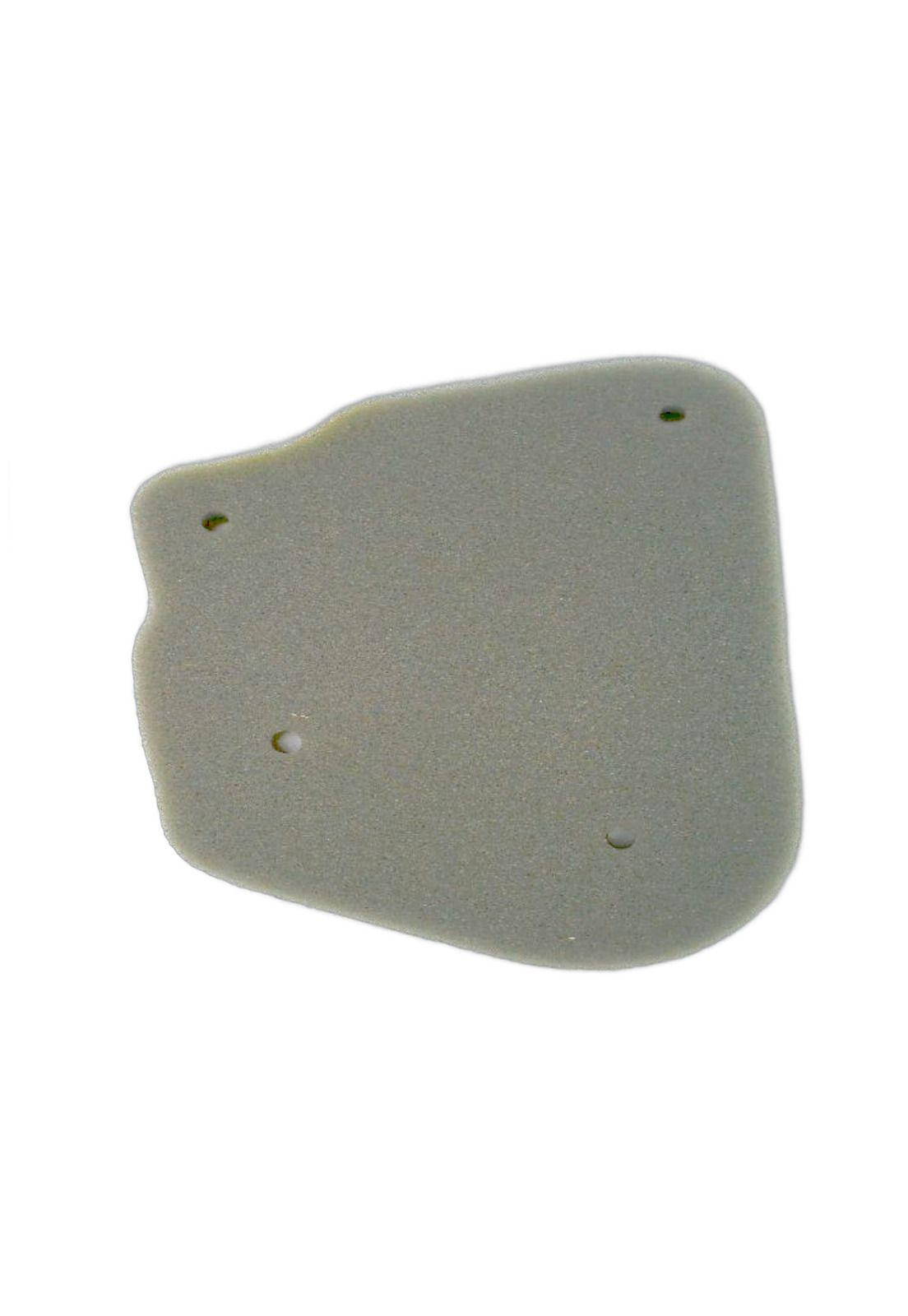 Filtro Aire BWS100 / YW100 JAP HIBARI-2