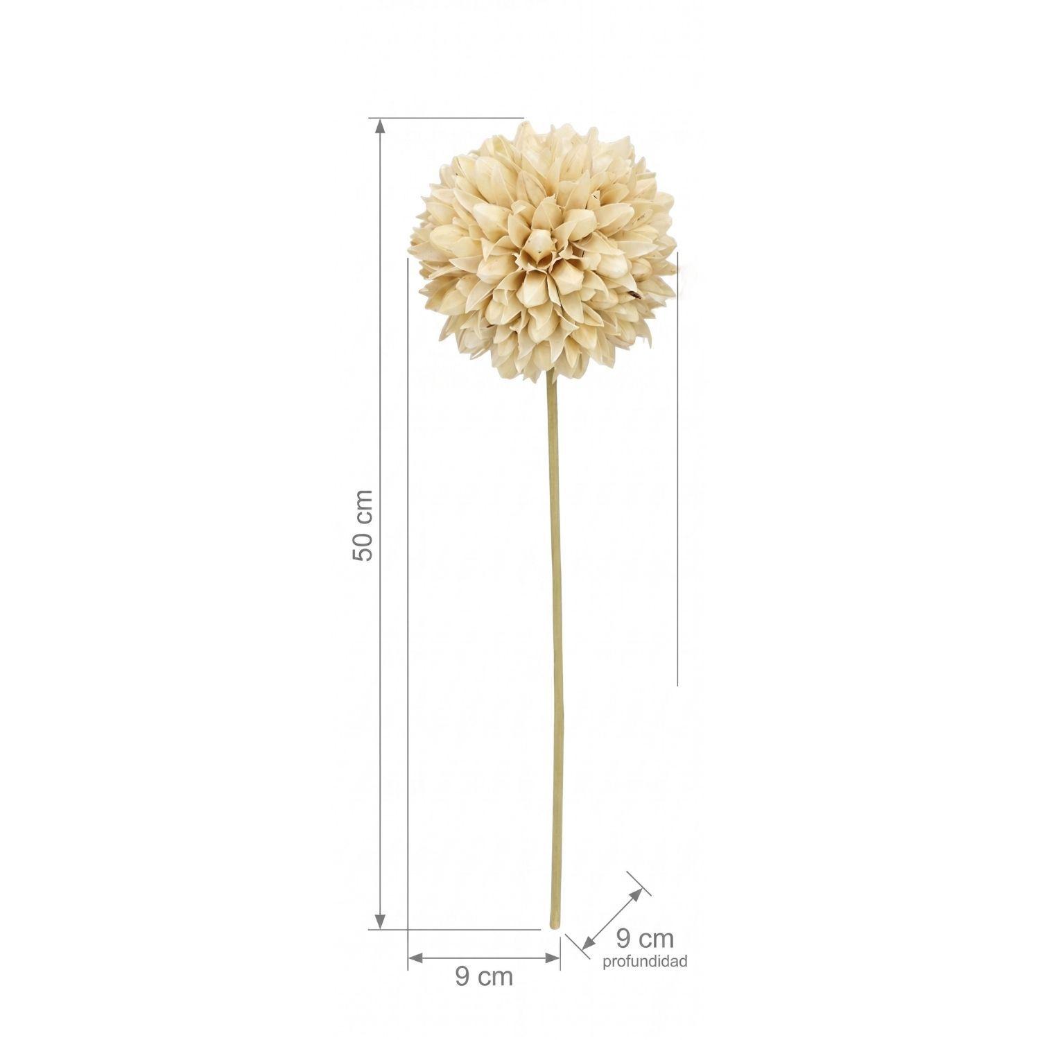 Ramo Flores Craspedia Blanco Natural 3u Antico Home-2