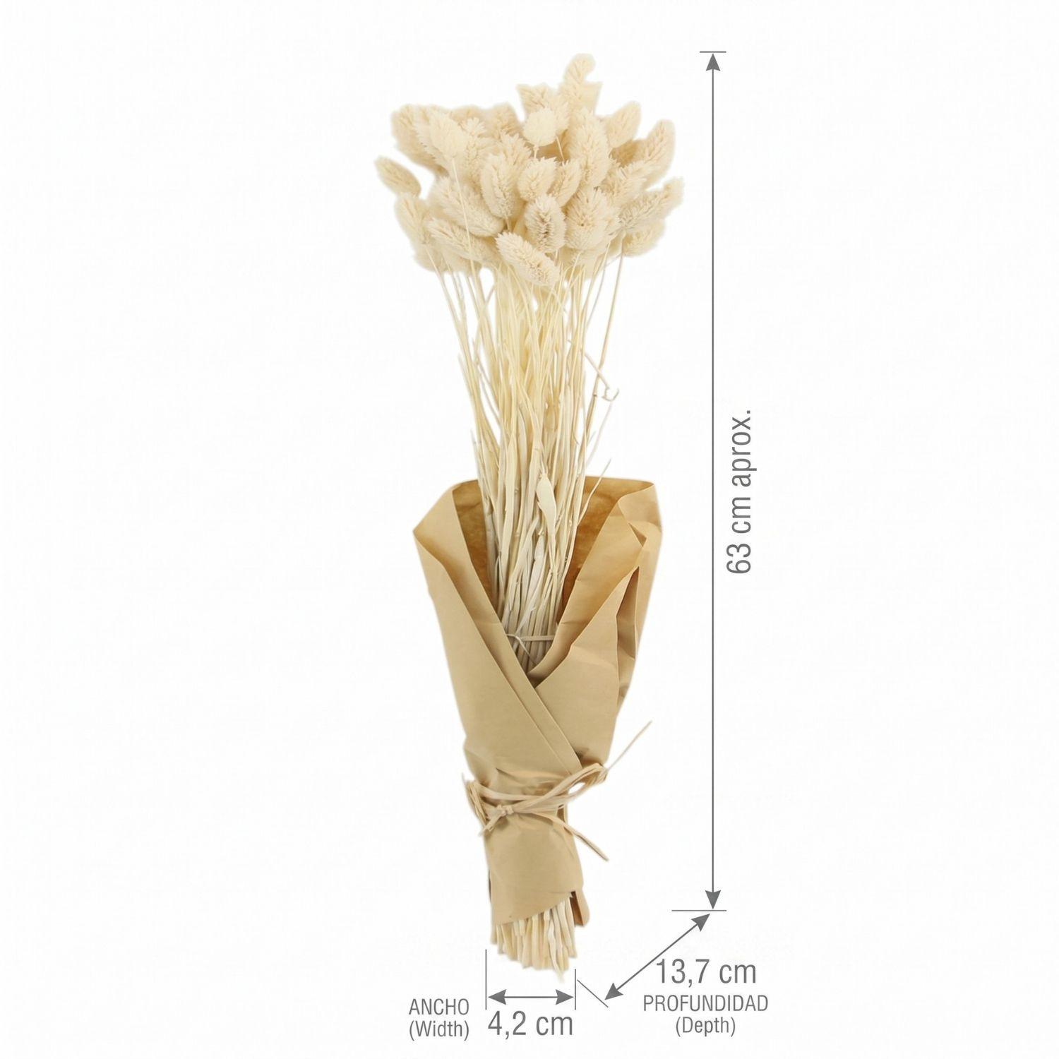 Ramo Flores Pasto de Canarias 100gr Antico Home-2
