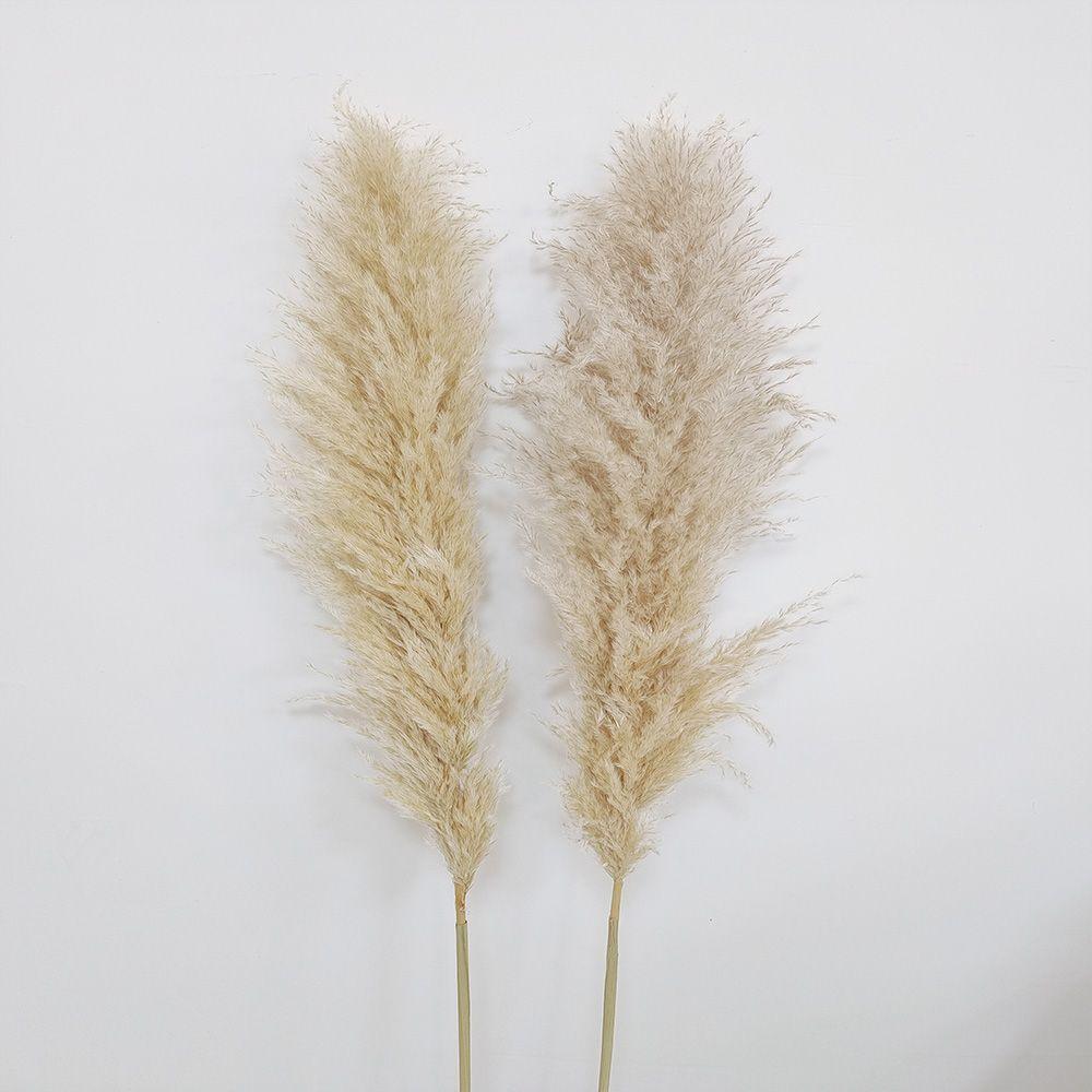 Ramo Flores Pampas Blanca Natural 2u Antico Home-2