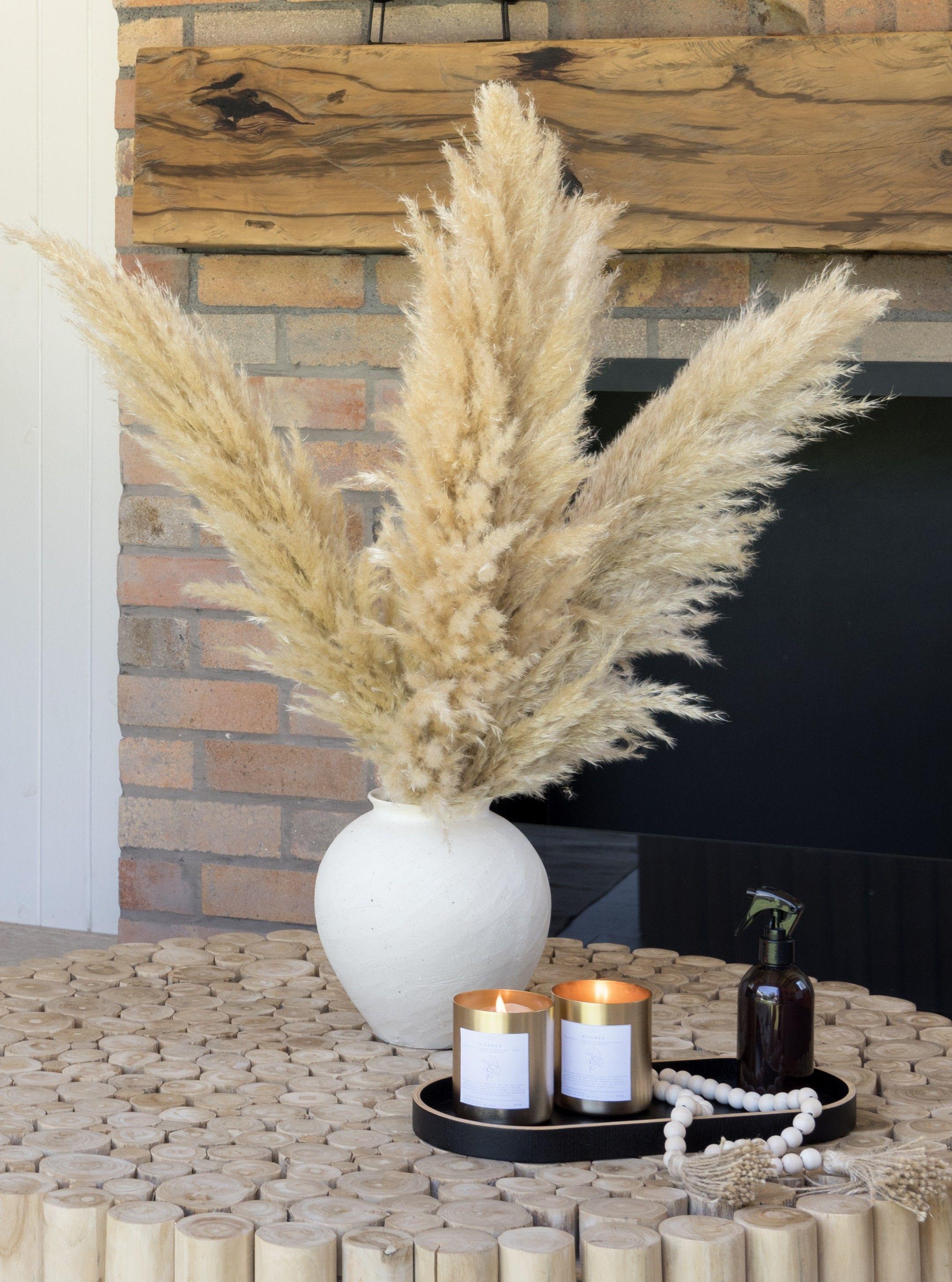 Ramo Flores Pampas Blanca Natural 2u Antico Home-4