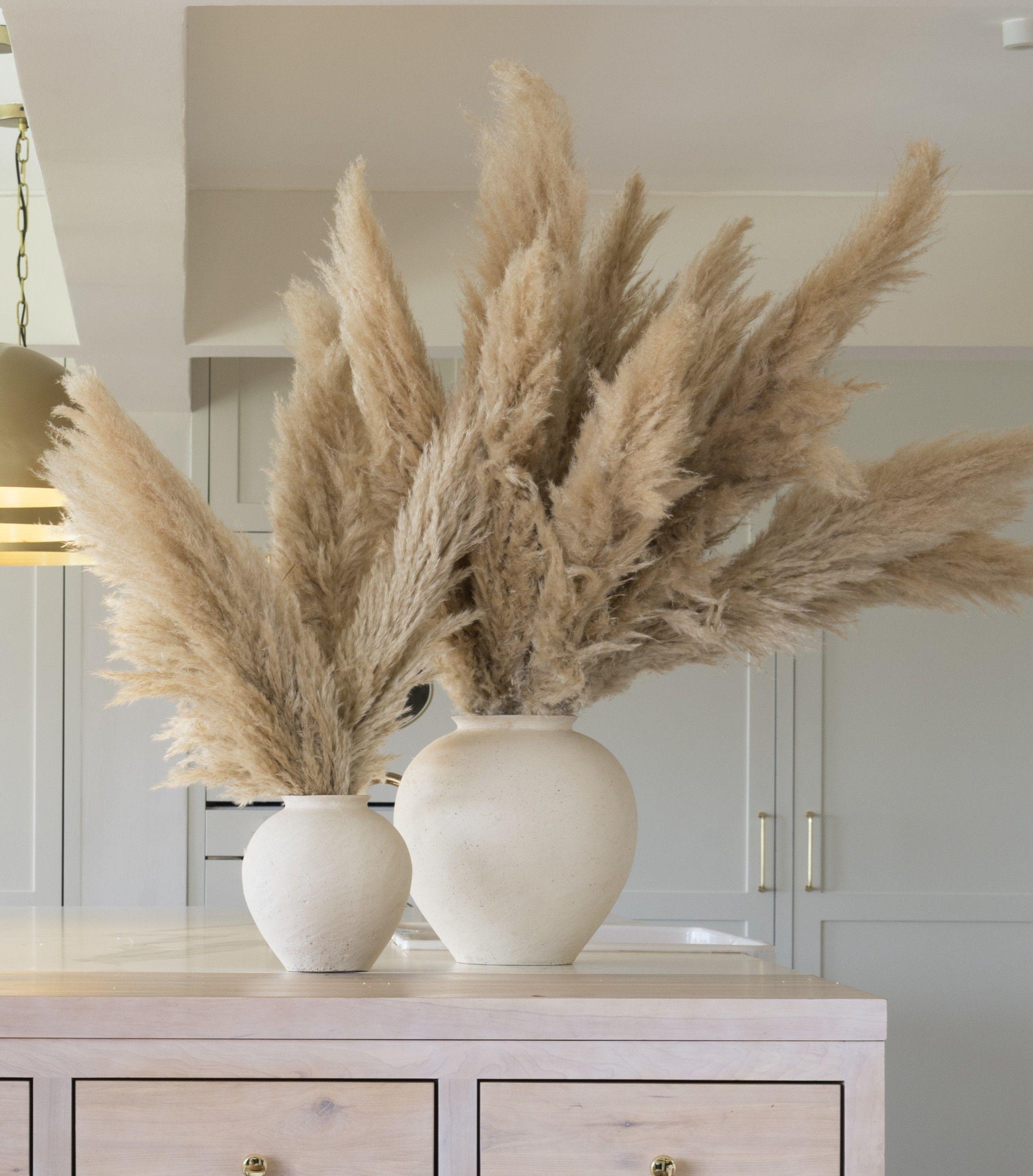 Ramo Flores Pampas Blanca Natural 2u Antico Home-6