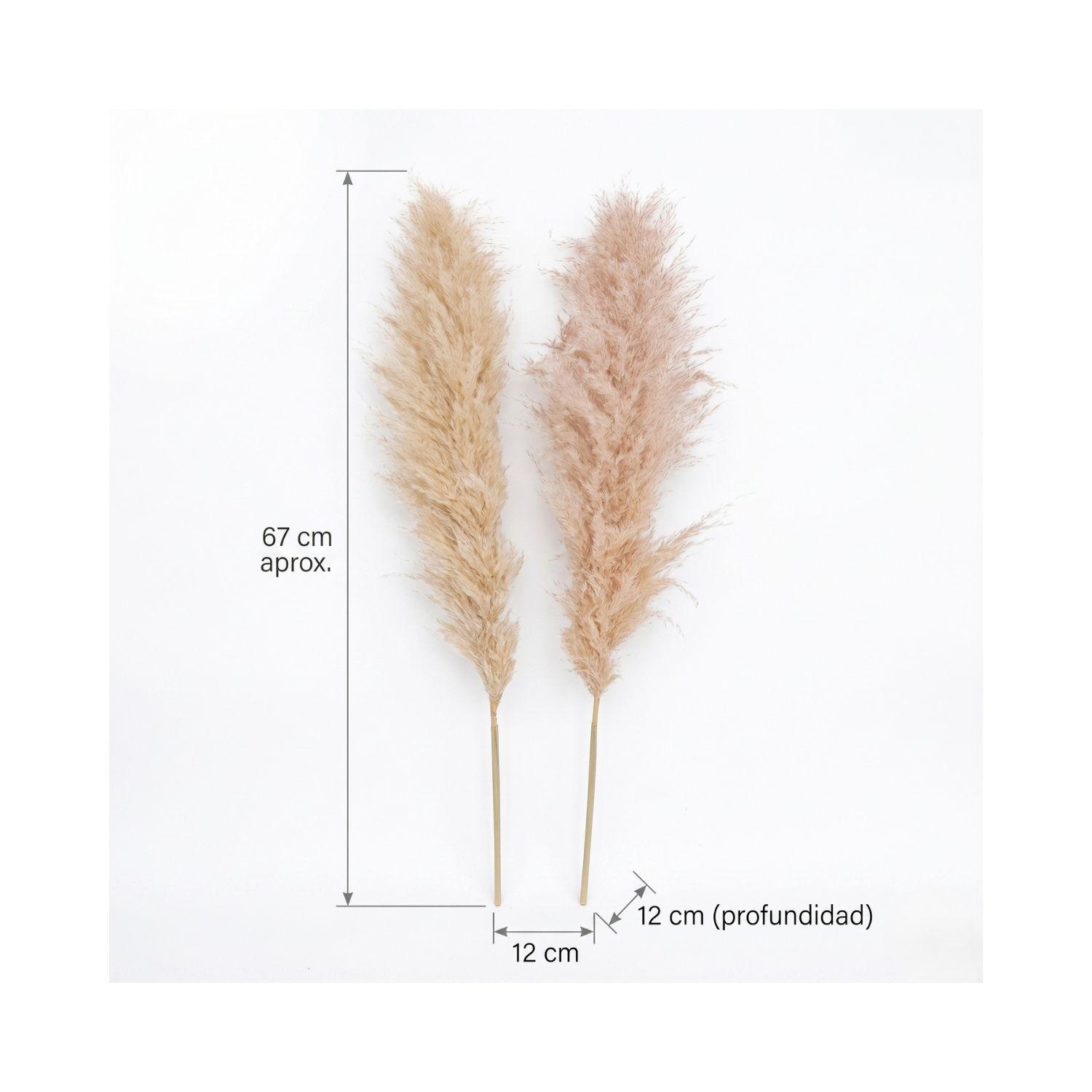 Ramo Flores Pampas Blanca Natural 2u Antico Home-2