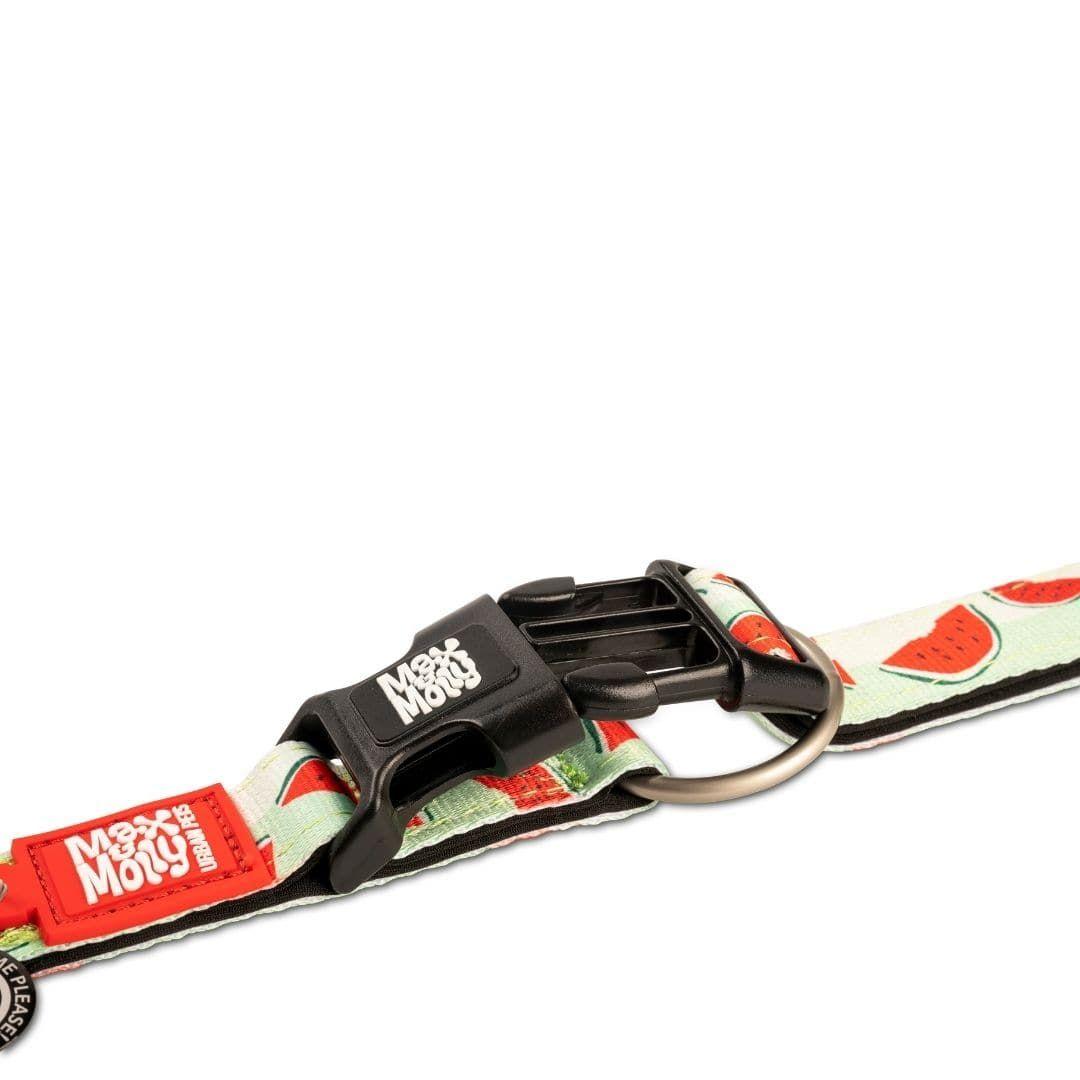 Collar Perro Max and Molly con Smart ID Watermelon-2