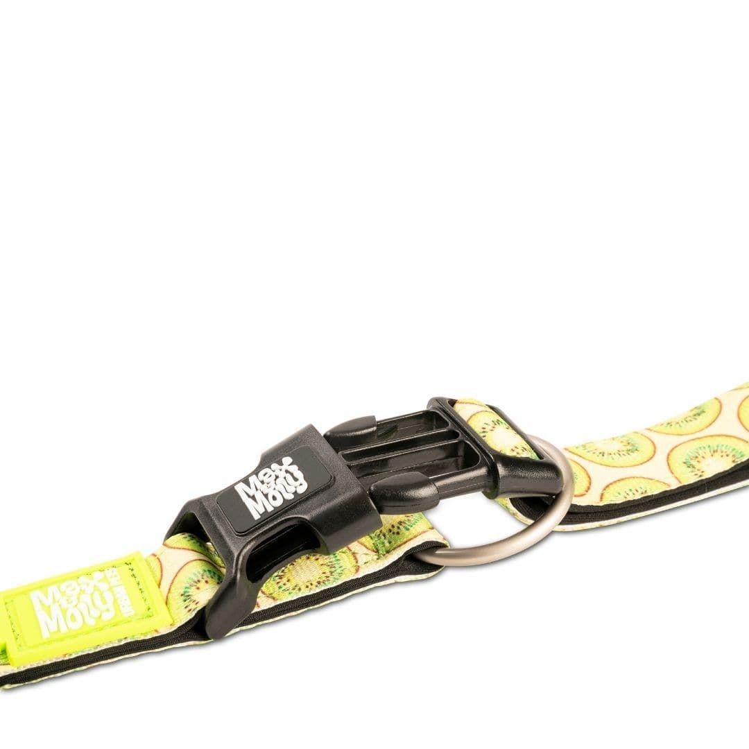 Collar Perro Max and Molly con Smart ID Kiwi-2