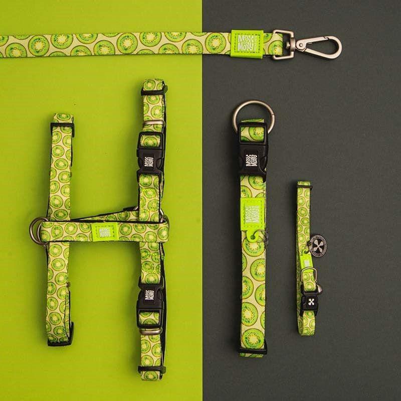 Collar Perro Max and Molly con Smart ID Kiwi-3