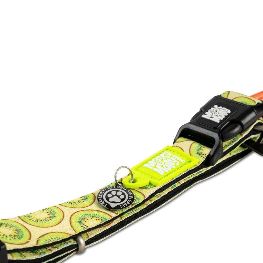 Collar Perro Max and Molly con Smart ID Kiwi-4