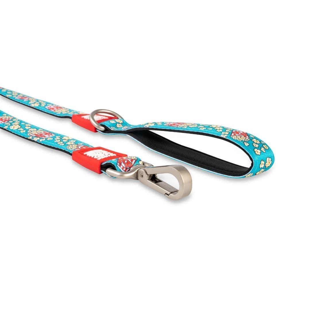 Correa Max and Molly Popcorn 1.2mts-4