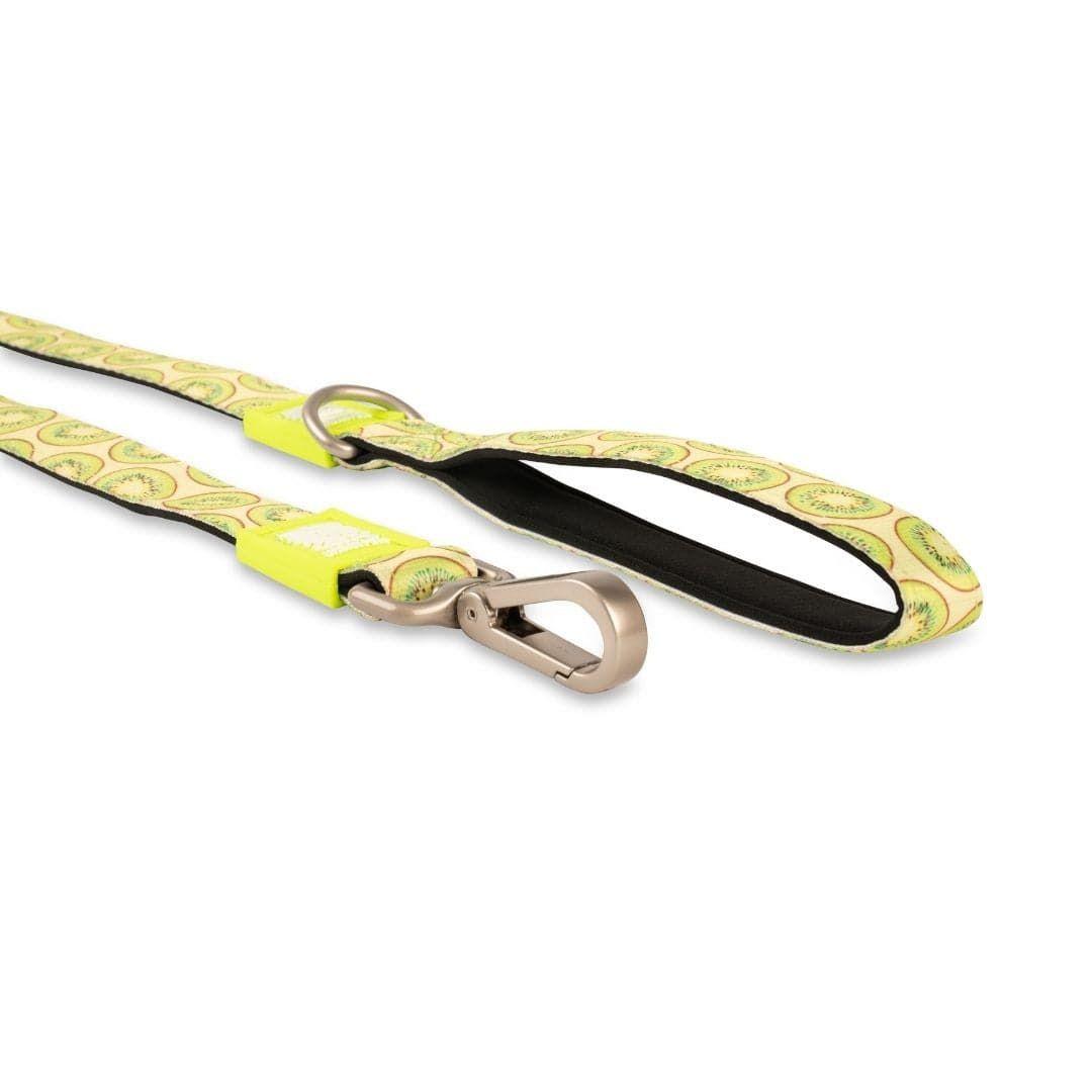 Correa Max and Molly Kiwi 1.2mts-2