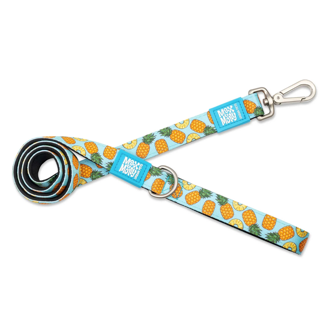 Correa Max and Molly Sweet Pineapple 1.2mts-0