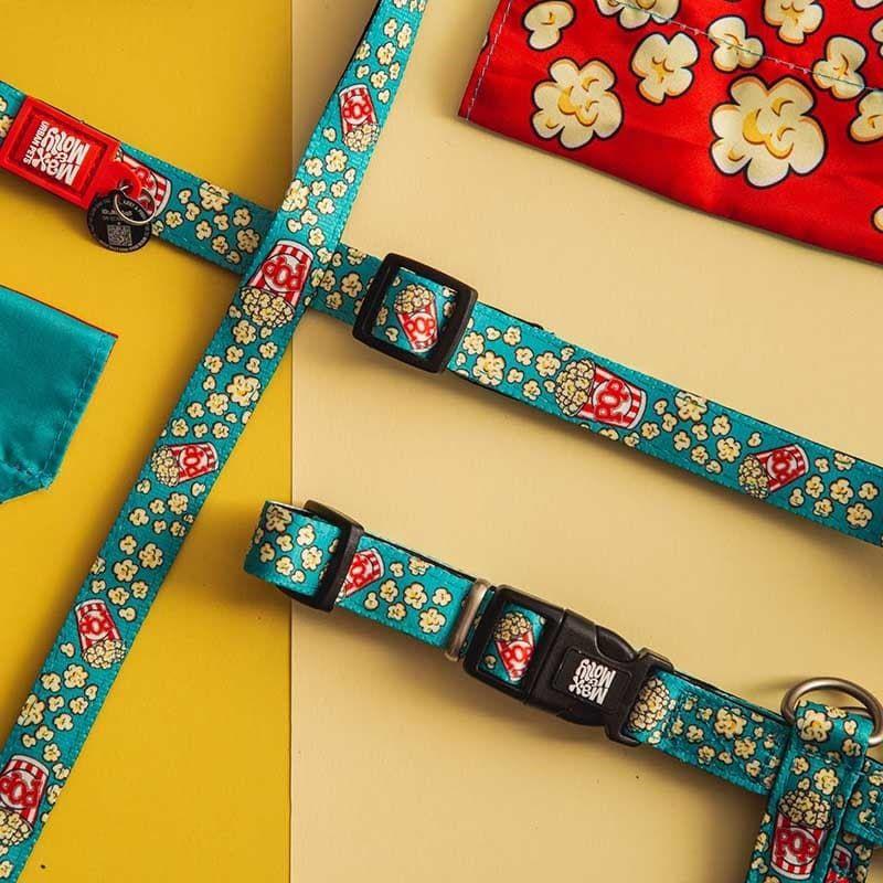 Collar Gato Max and Molly con Smart ID Popcorn-2