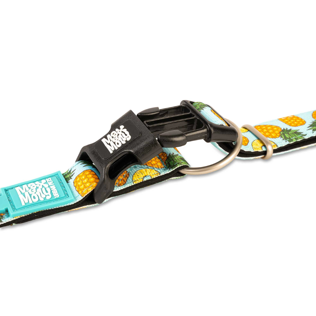 Collar Perro Max and Molly con Smart ID Sweet Pineapple-3