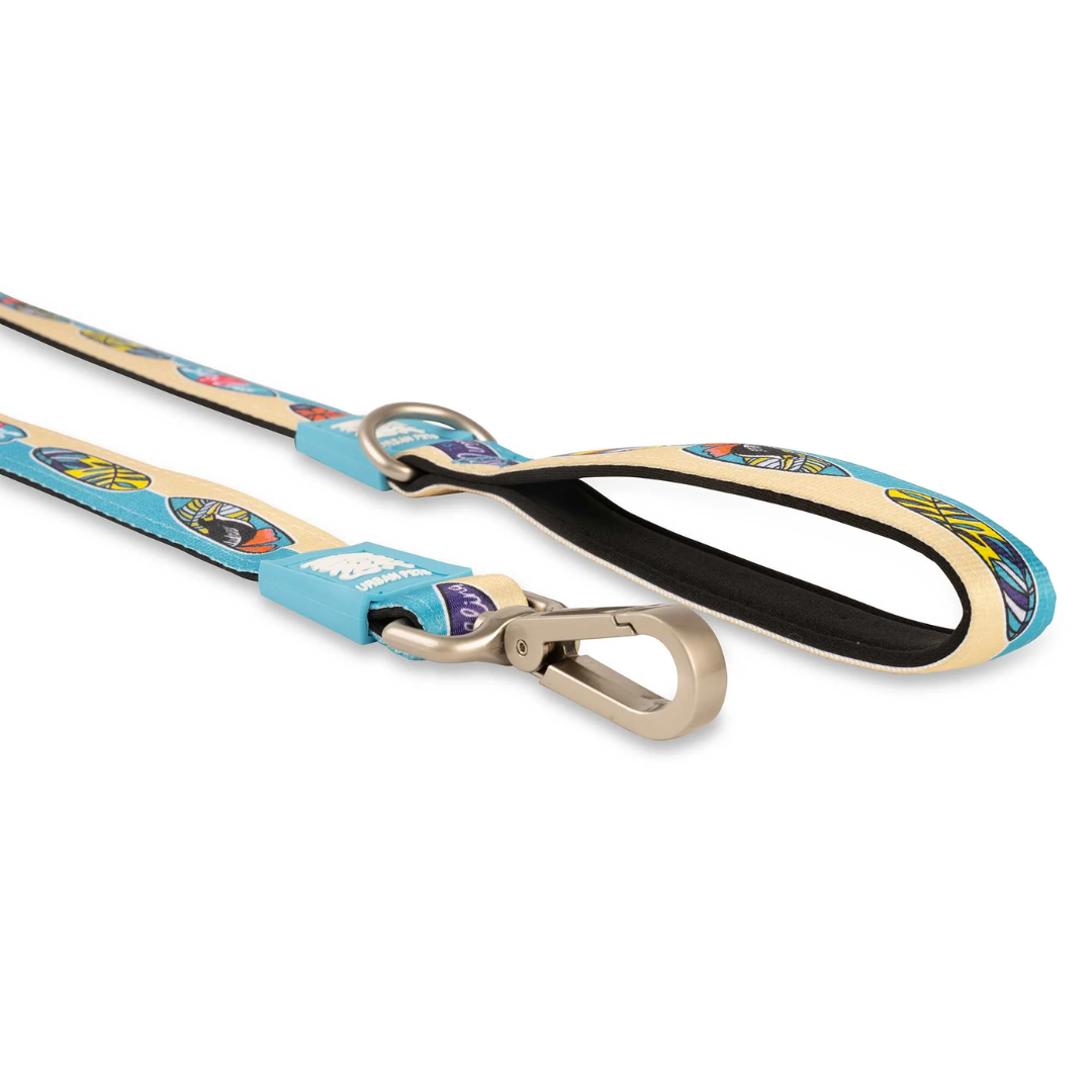 Correa Max and Molly Aloha 1.2mts-3